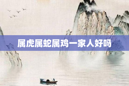 属虎属蛇属鸡一家人好吗