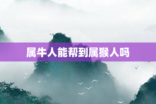 属牛人能帮到属猴人吗