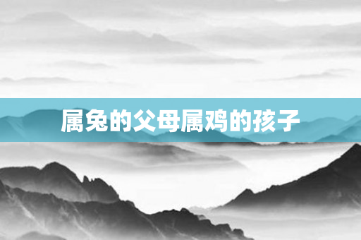 属兔的父母属鸡的孩子