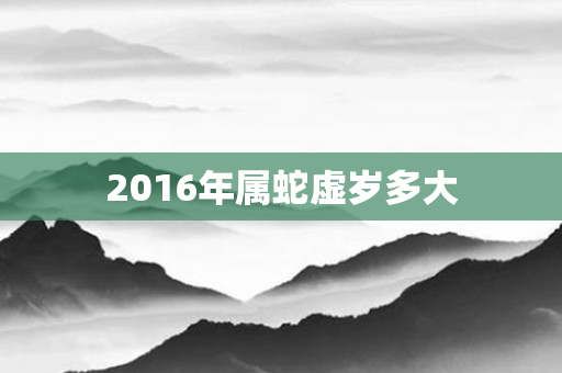 2016年属蛇虚岁多大