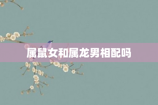 属鼠女和属龙男相配吗