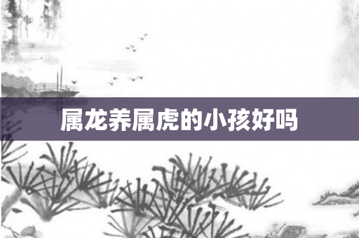 属龙养属虎的小孩好吗