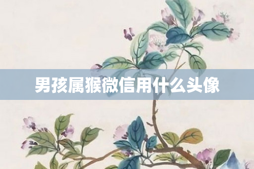 男孩属猴微信用什么头像