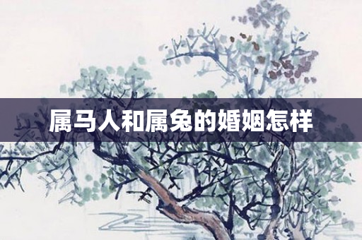 属马人和属兔的婚姻怎样
