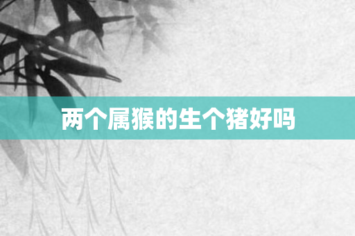 两个属猴的生个猪好吗