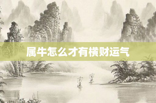 属牛怎么才有横财运气