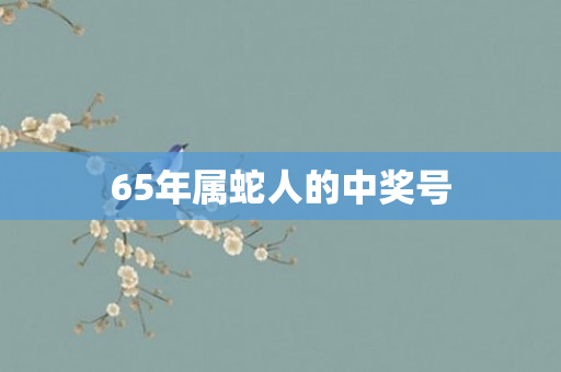 65年属蛇人的中奖号