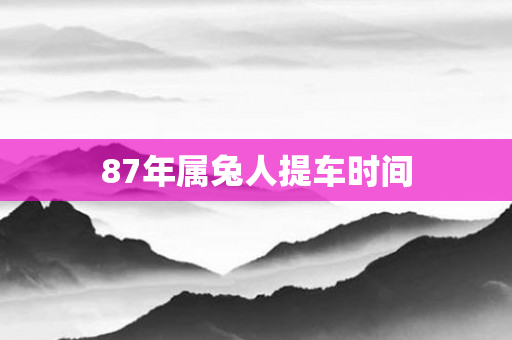 87年属兔人提车时间