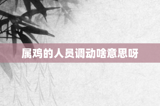 属鸡的人员调动啥意思呀