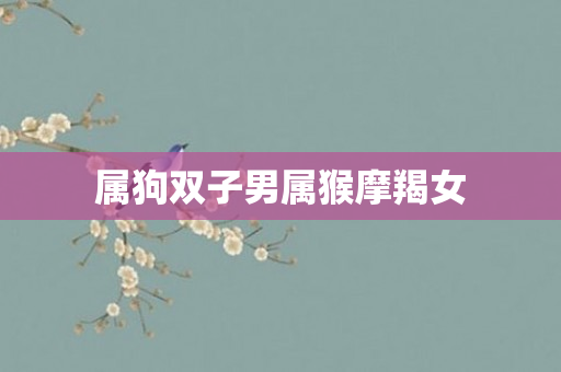 属狗双子男属猴摩羯女