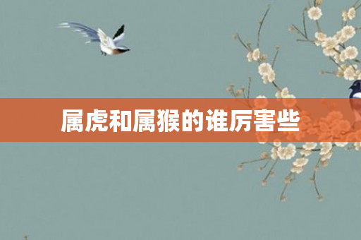 属虎和属猴的谁厉害些