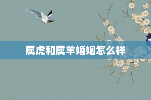 属虎和属羊婚姻怎么样