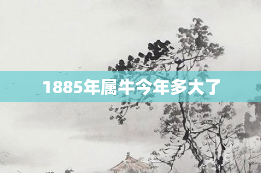 1885年属牛今年多大了