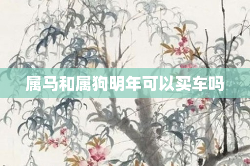 属马和属狗明年可以买车吗
