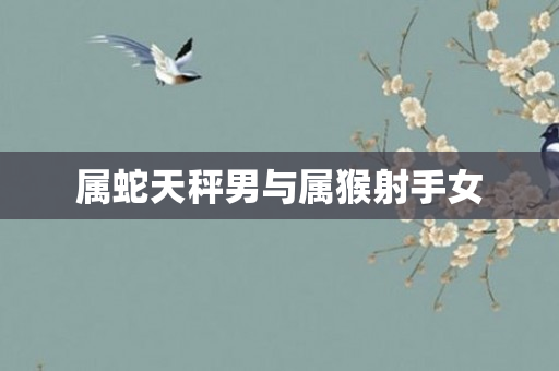 属蛇天秤男与属猴射手女