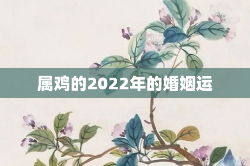 属鸡的2022年的婚姻运