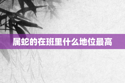 属蛇的在班里什么地位更高