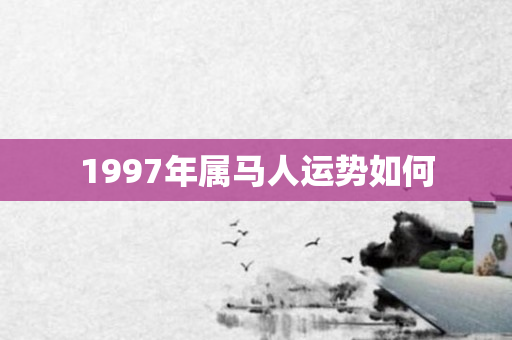 1997年属马人运势如何