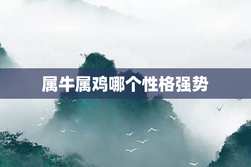 属牛属鸡哪个性格强势