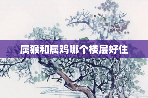 属猴和属鸡哪个楼层好住