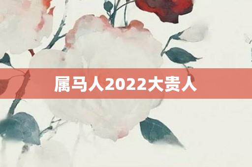 属马人2022大贵人