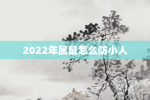 2022年属鼠怎么防小人