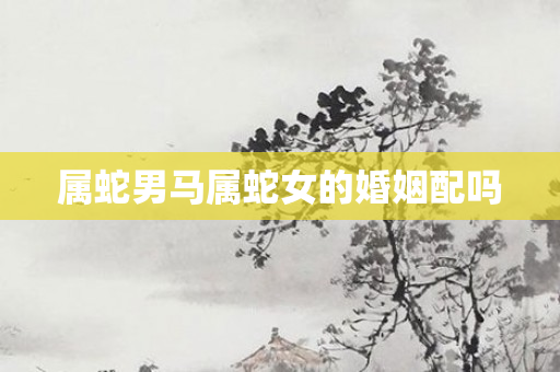 属蛇男马属蛇女的婚姻配吗