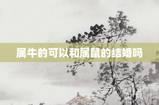 属牛的可以和属鼠的结婚吗