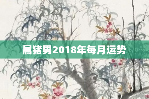 属猪男2018年每月运势