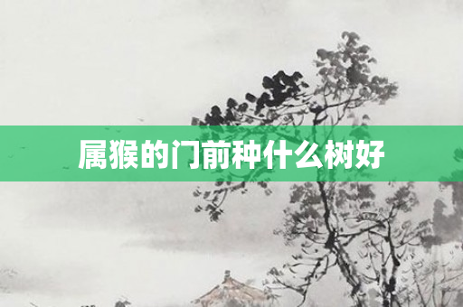 属猴的门前种什么树好