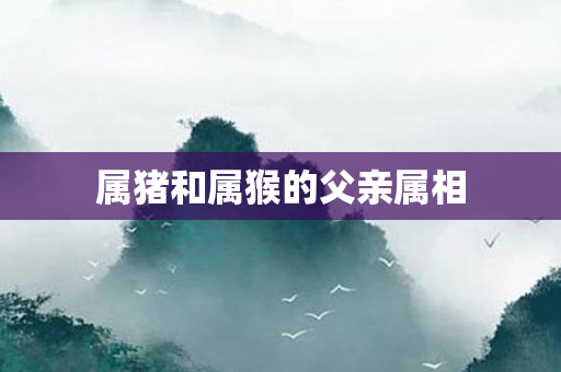属猪和属猴的父亲属相