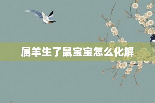 属羊生了鼠宝宝怎么化解