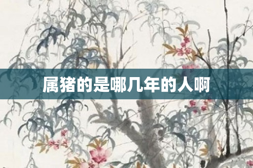 属猪的是哪几年的人啊
