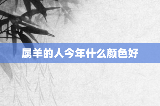 属羊的人今年什么颜色好