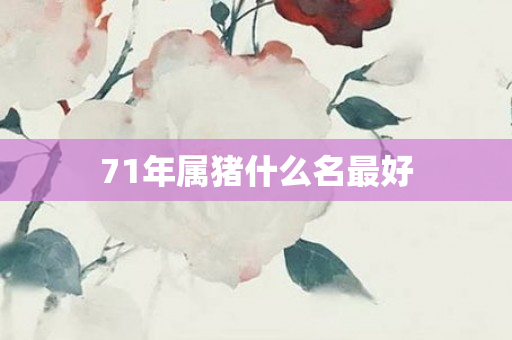 71年属猪什么名更好