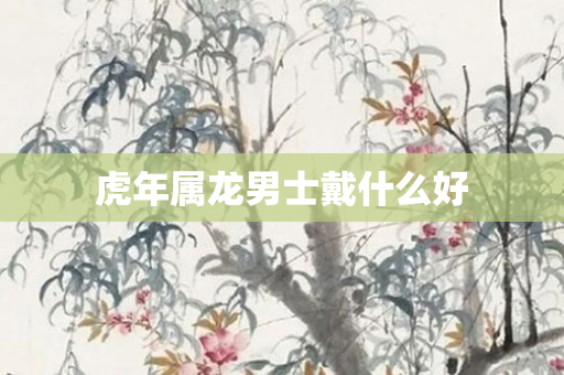 虎年属龙男士戴什么好