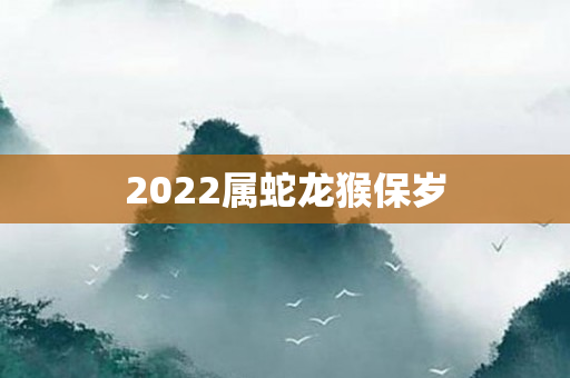 2022属蛇龙猴保岁