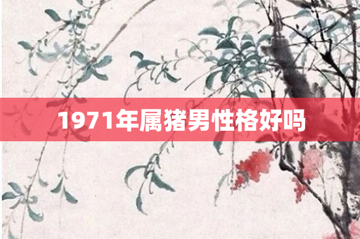 1971年属猪男性格好吗