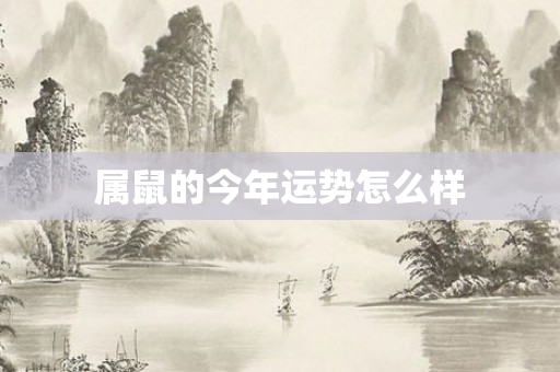 属鼠的今年运势怎么样