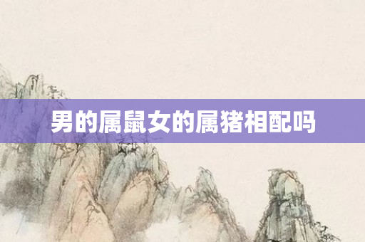 男的属鼠女的属猪相配吗