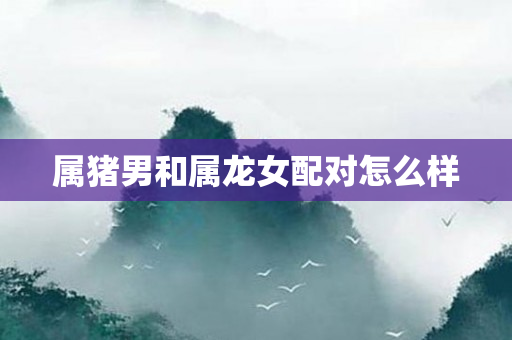 属猪男和属龙女配对怎么样