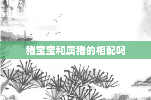 猪宝宝和属猪的相配吗