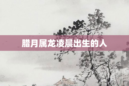 腊月属龙凌晨出生的人