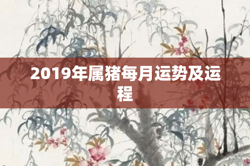 2019年属猪每月运势及运程