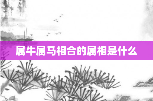 属牛属马相合的属相是什么