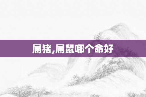 属猪,属鼠哪个命好
