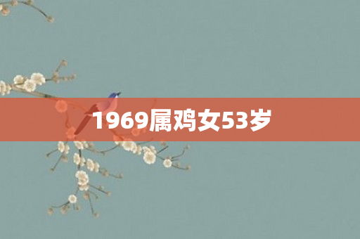 1969属鸡女53岁