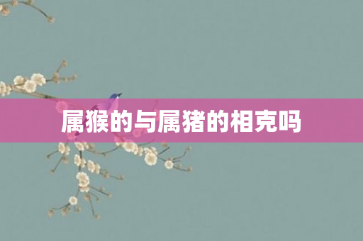属猴的与属猪的相克吗