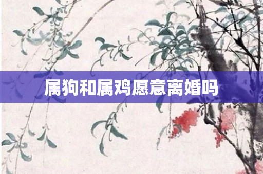属狗和属鸡愿意离婚吗