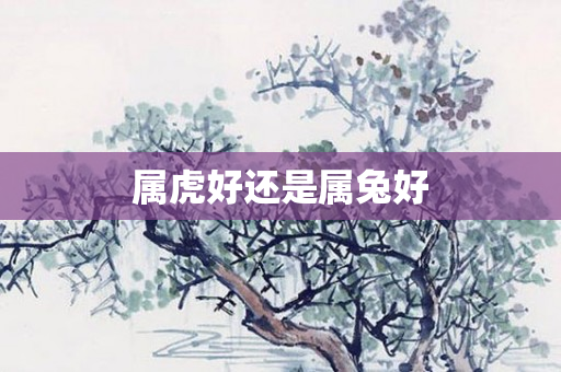 属虎好还是属兔好